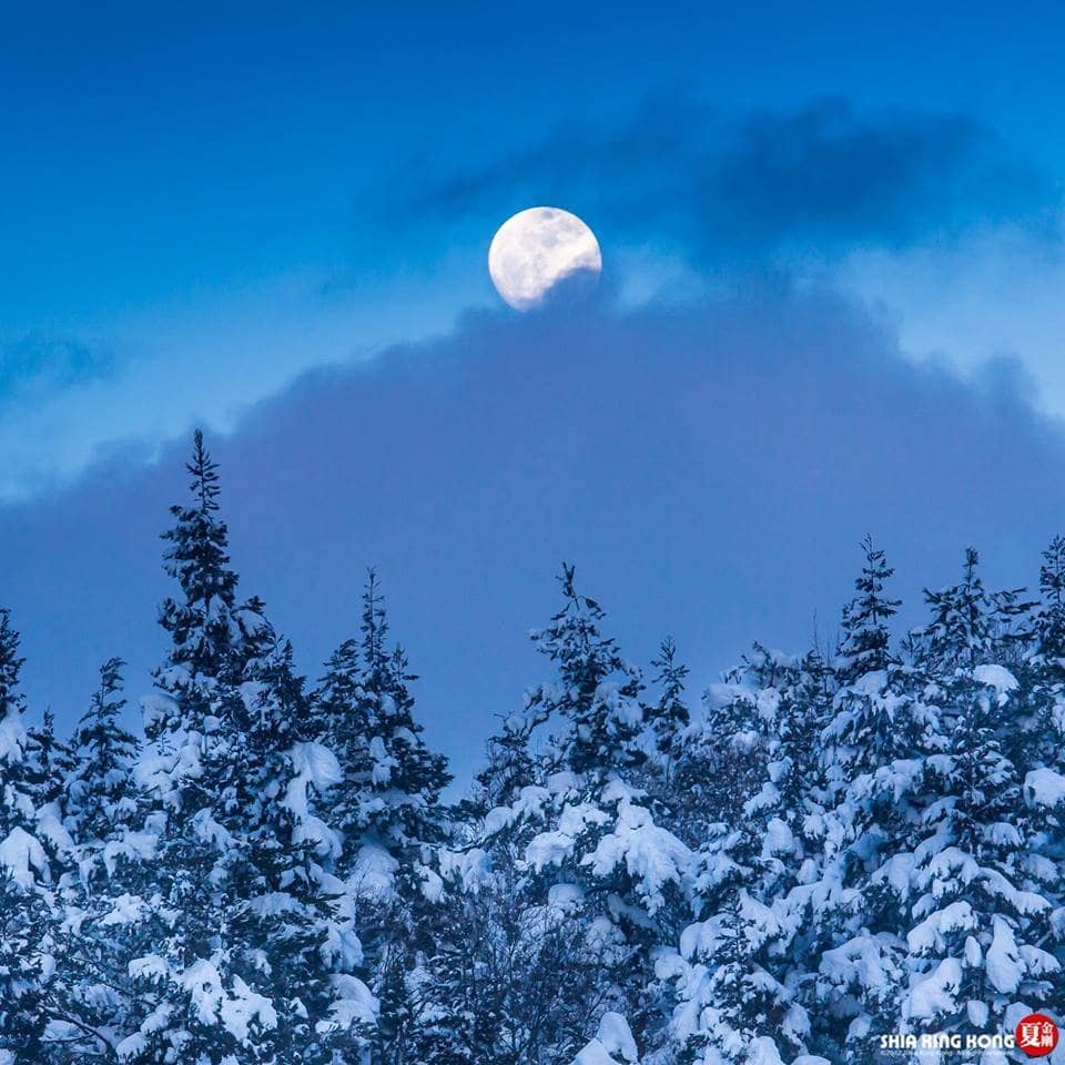 Local Flavors & Global Cuisine