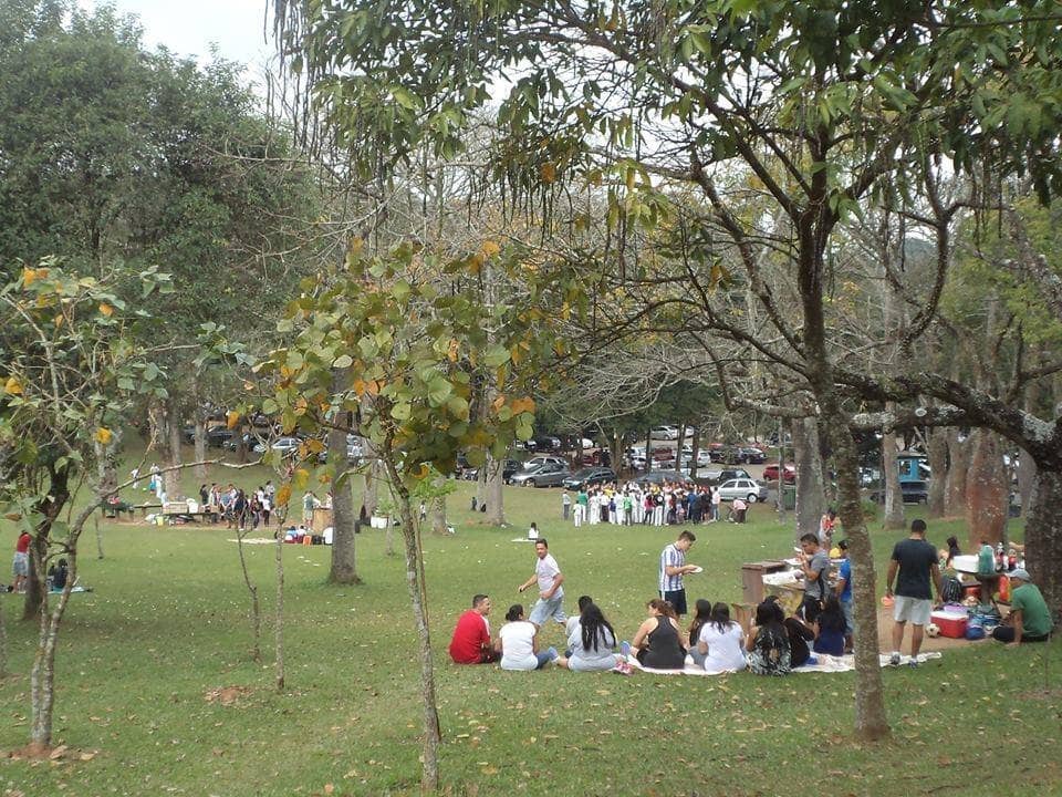 Picnic & BBQ Areas