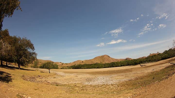 Rinca Island Landscape