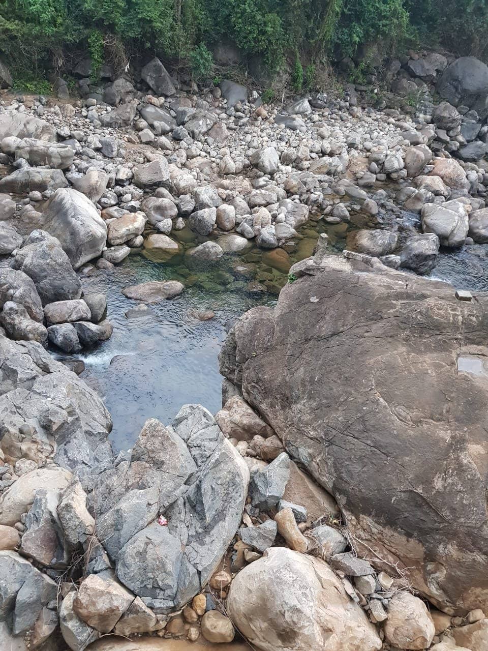 Suspension Bridge Views