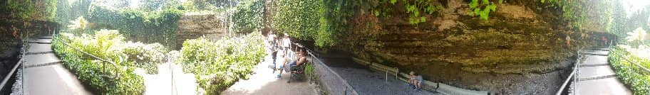 Evening Possum Feeding