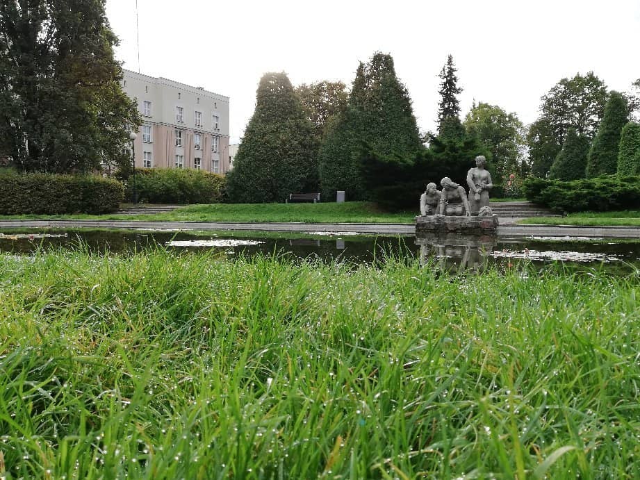 French-Style Gardens