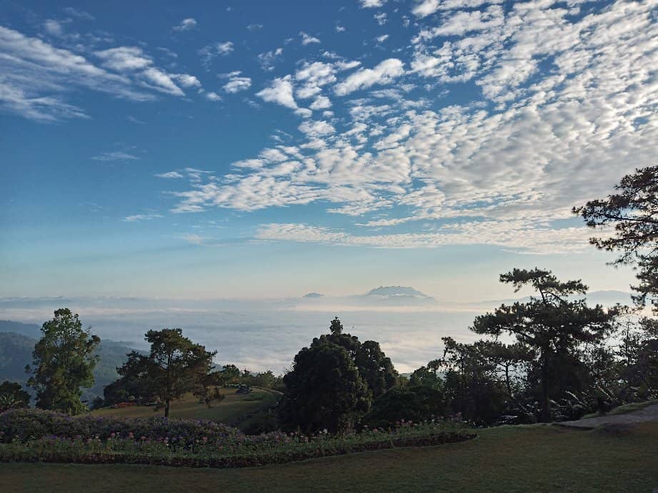 Camping Under the Stars