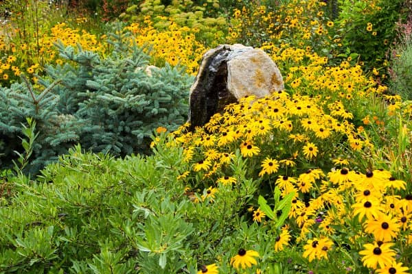 Twilight Garden Series