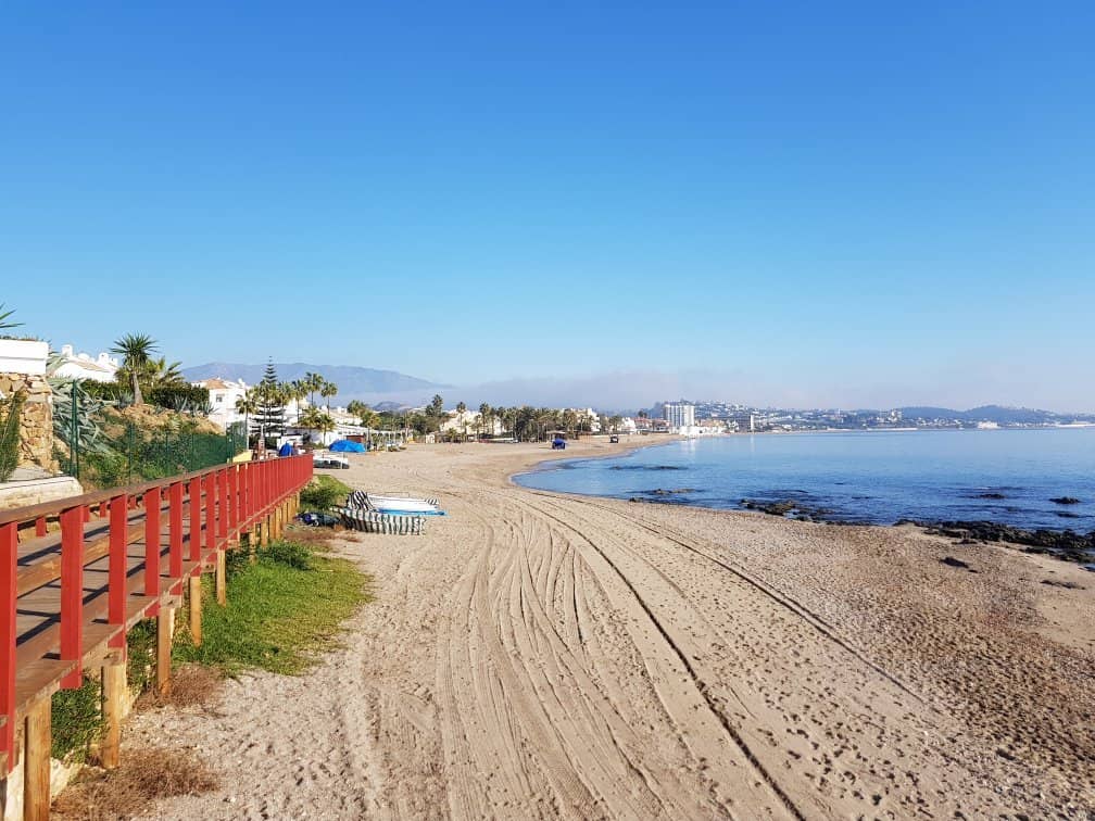 Beachfront Dining Delights