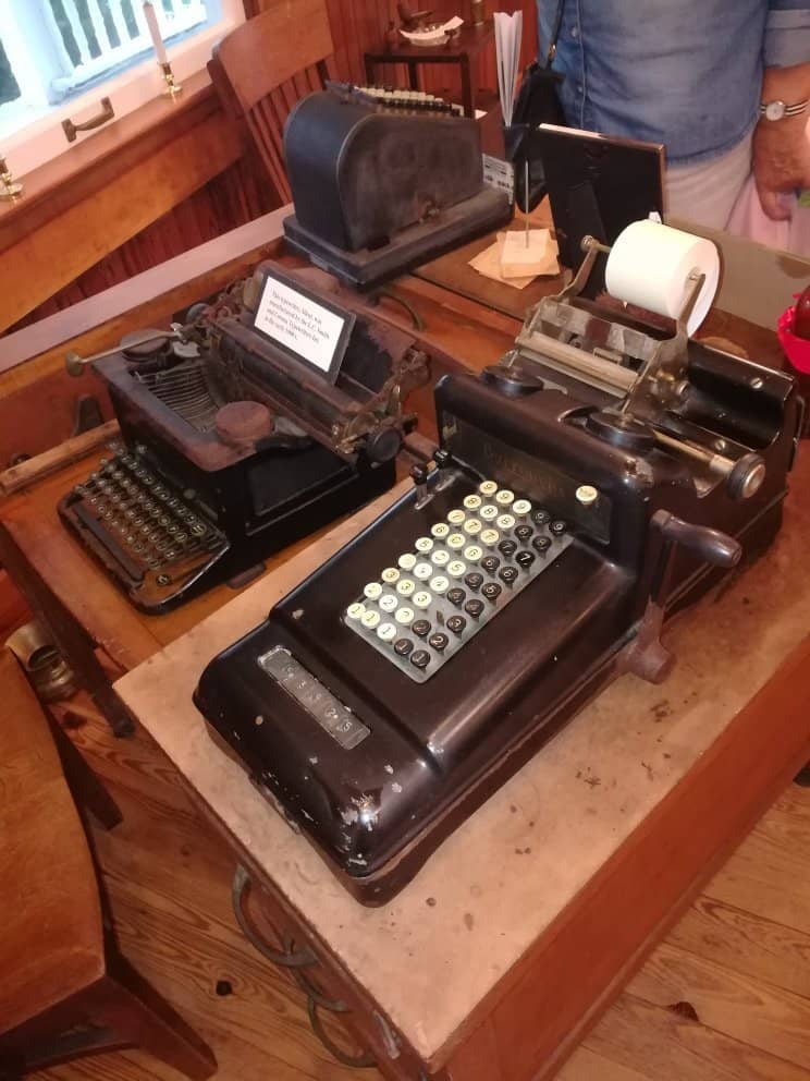 Dolphin & Wildlife Tours