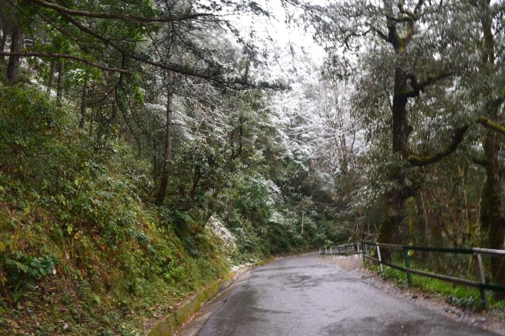 Curry Chicken Philly