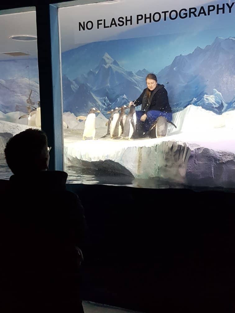 Diverse Marine Life Exhibits