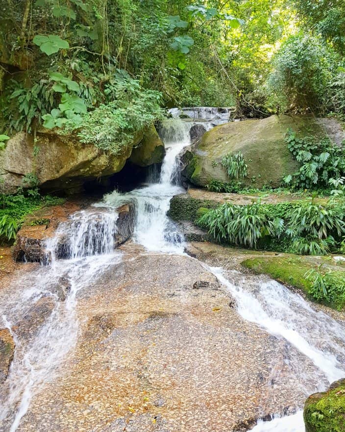 The Atlantic Forest Trail