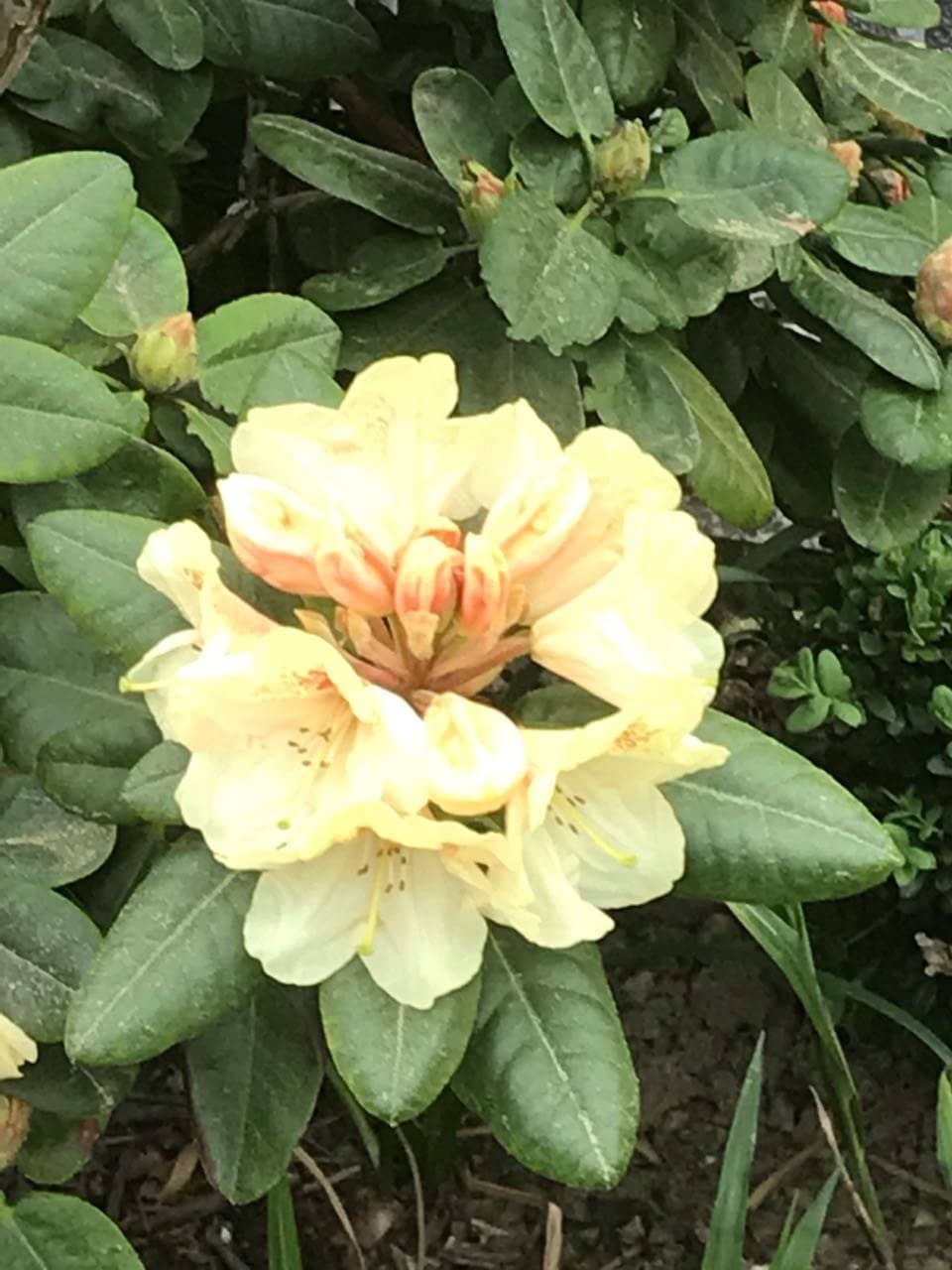 Diverse Food Options