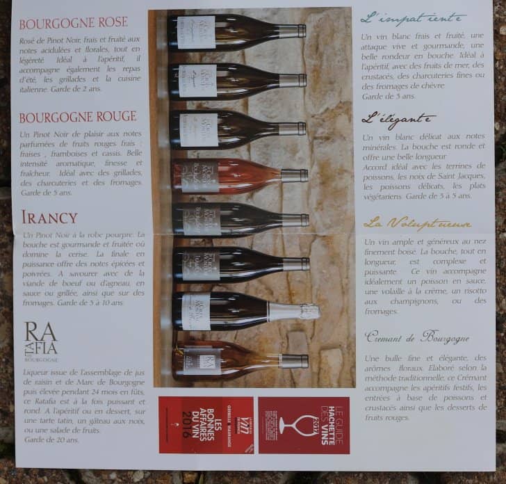 Convivial Vineyard Atmosphere