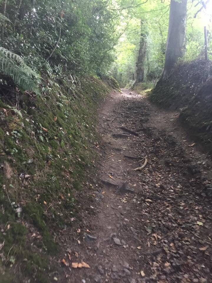 The Iconic Vaches Noires Cliffs