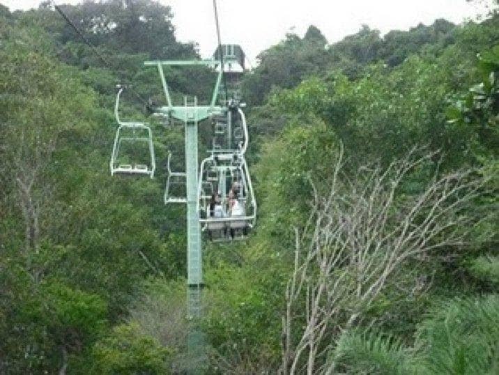 Free Amusement Rides