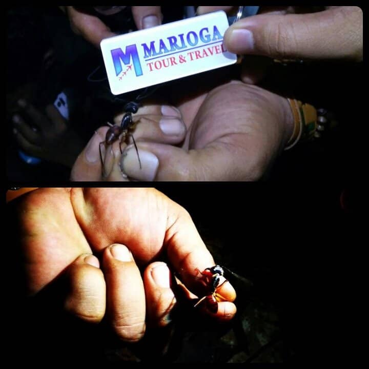 Adventure Activities