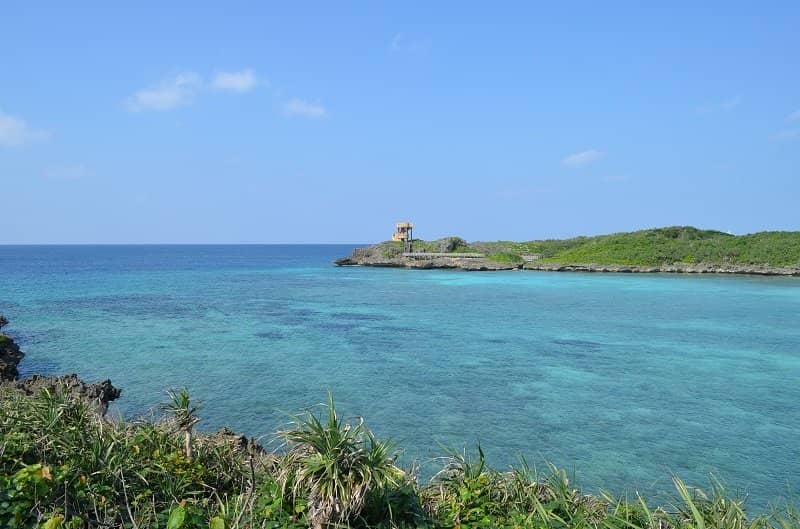Farm-to-Table Ambiance