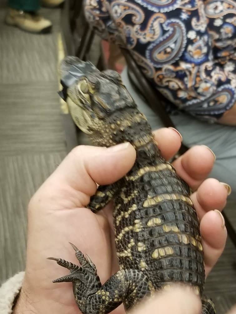 Martin Luther King Jr. History