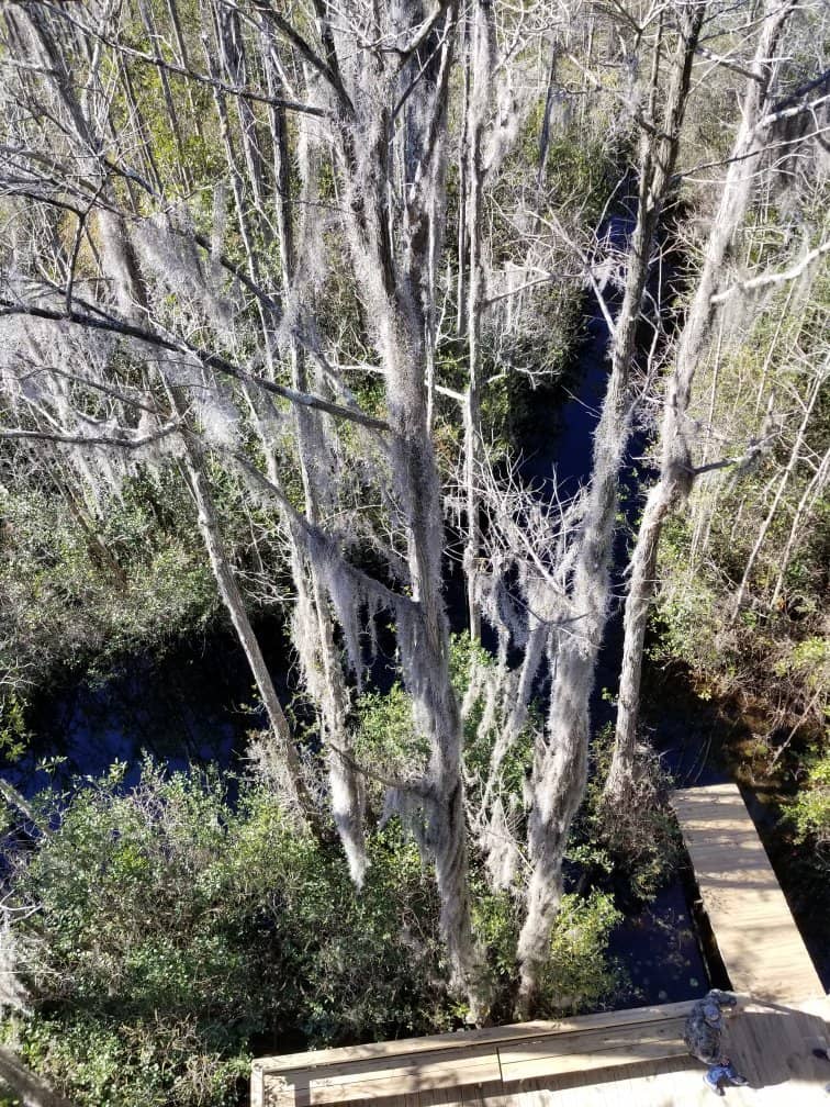 Native American Exhibit