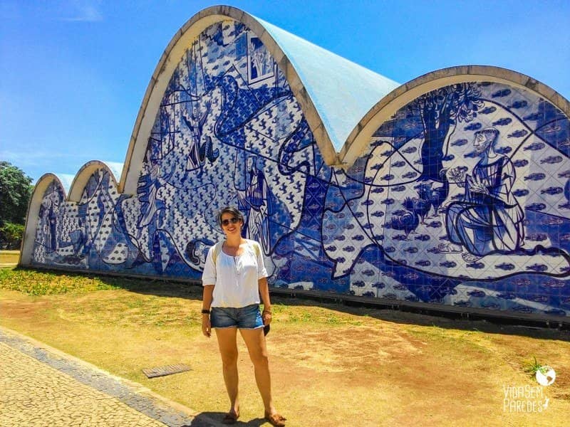 Niemeyer's Organic Curves