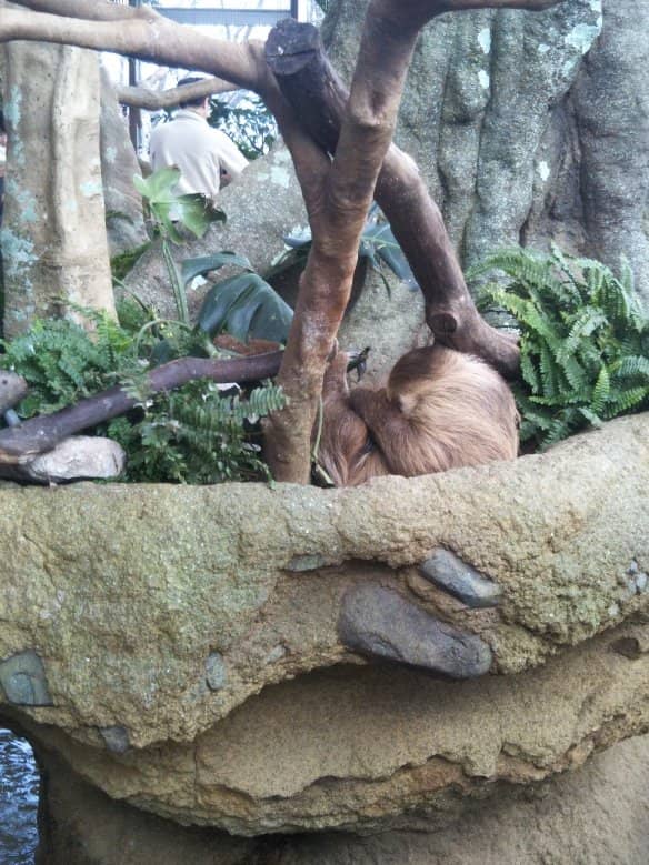 Panoramic City Views