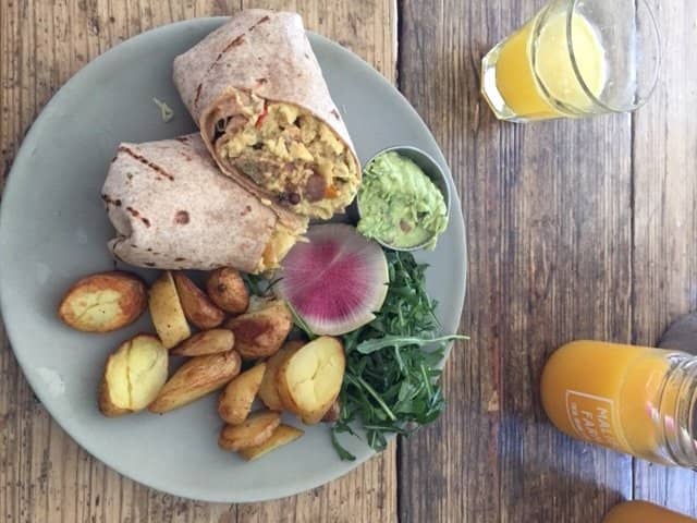 Farm-to-Table Freshness