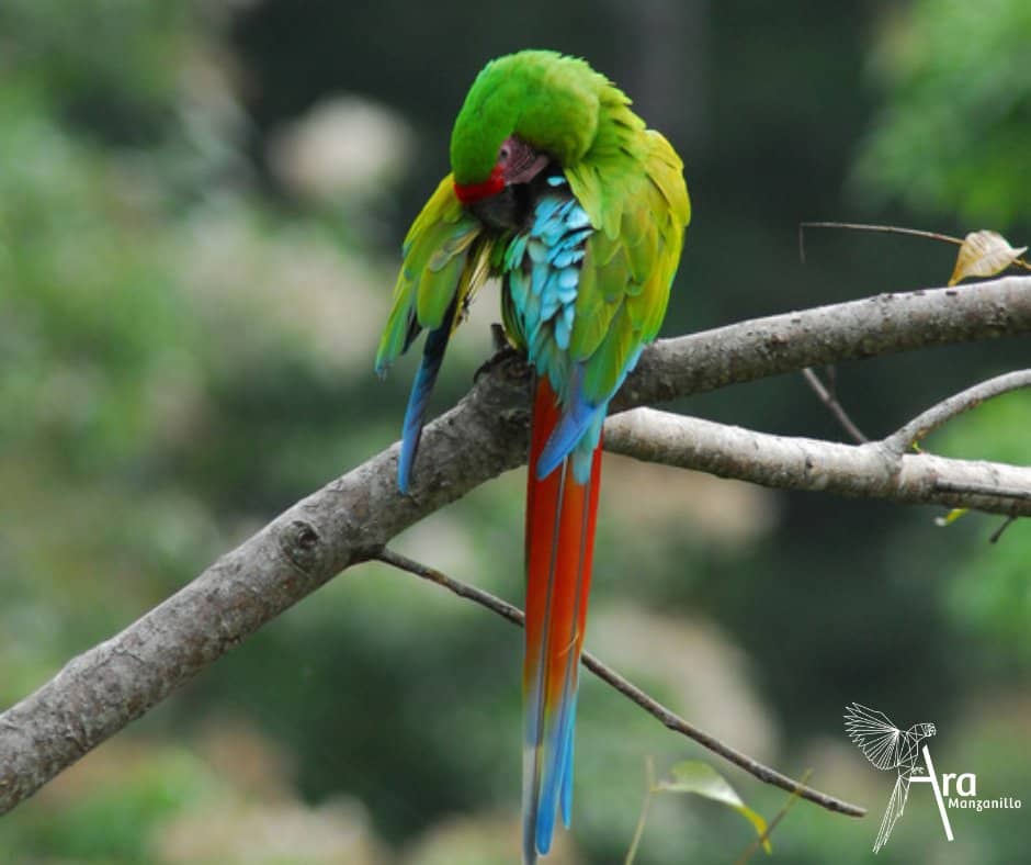 Viewing Platform Experience