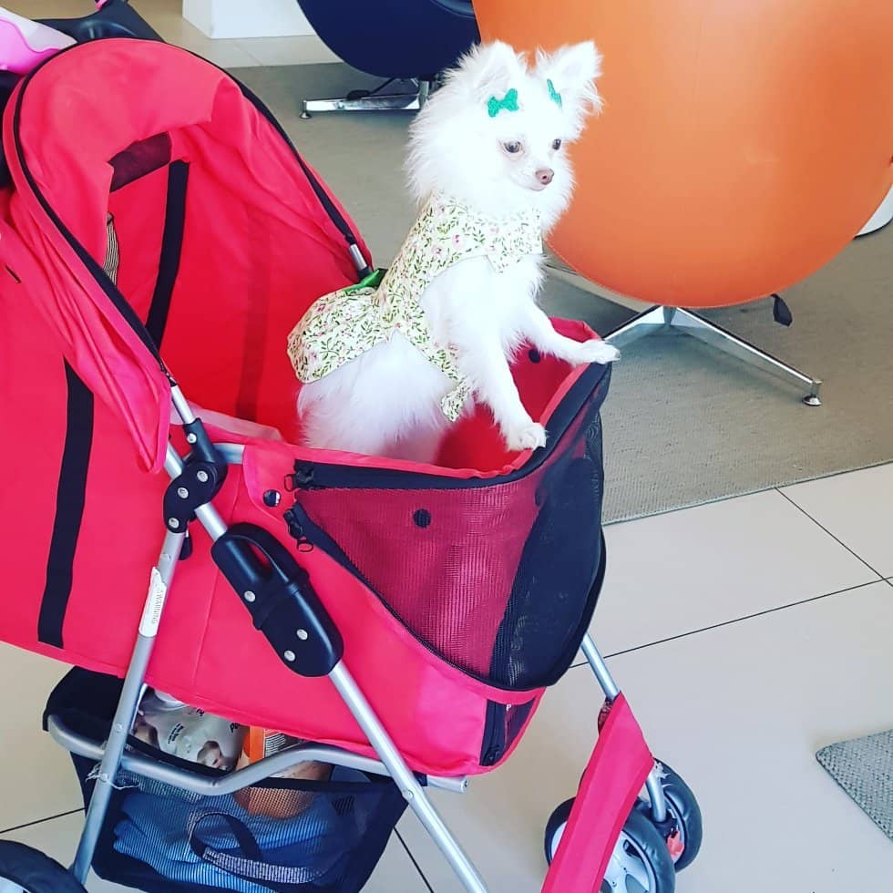 Christmas Home by Sollarium Casa