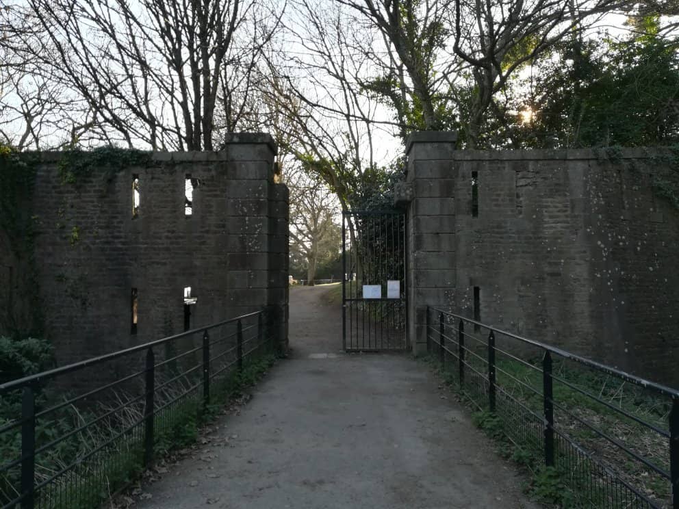 Green Spaces for Picnics
