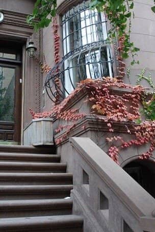 Museum Row (near UWS)