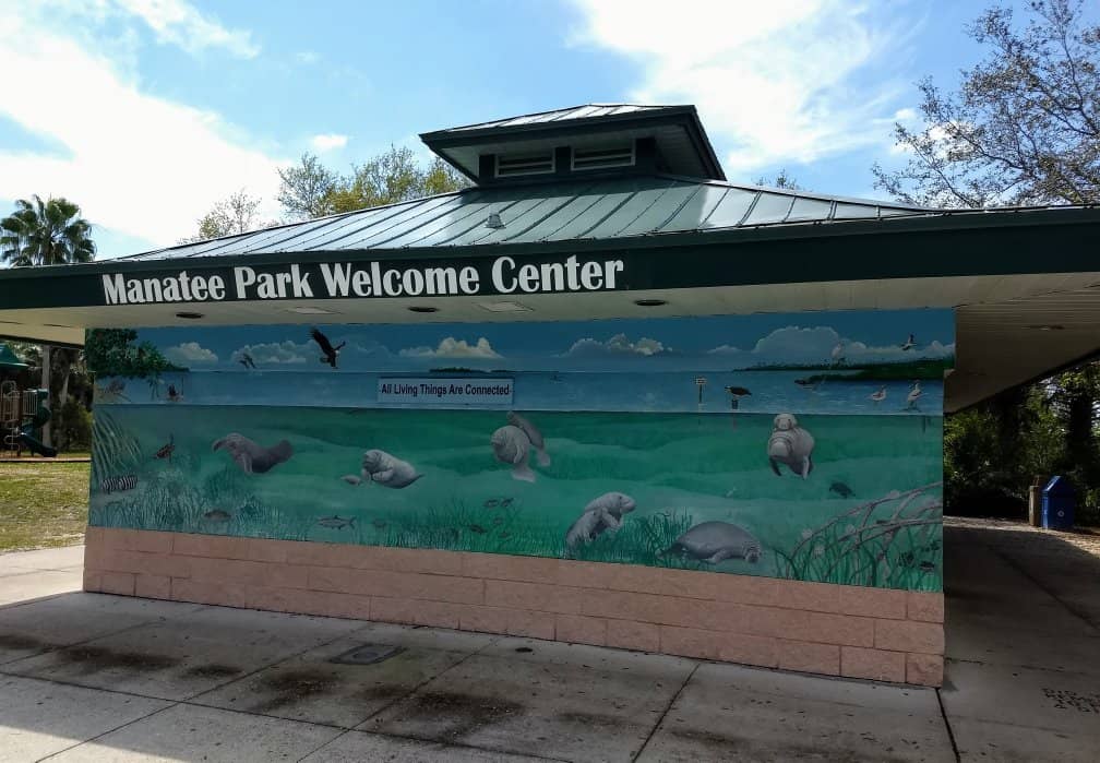 Kayak and Paddleboard Adventures