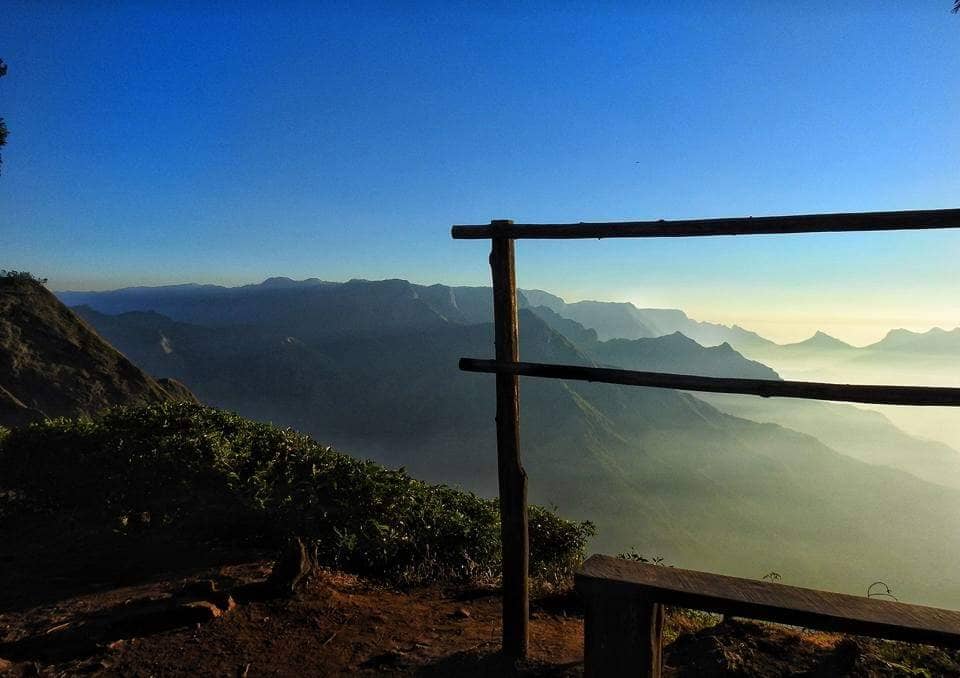 Authentic Tea Factory Tour