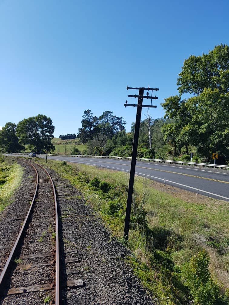 Family Fun & Nostalgia