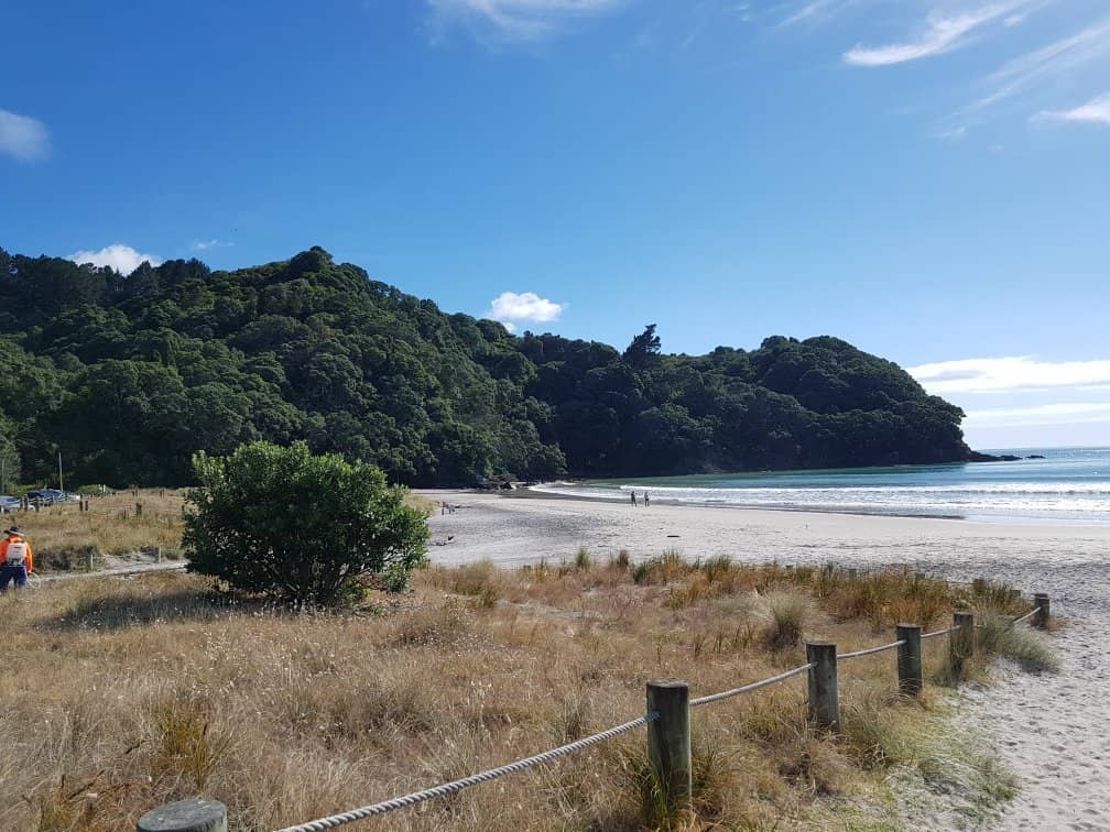 Waihi Beach Bakery