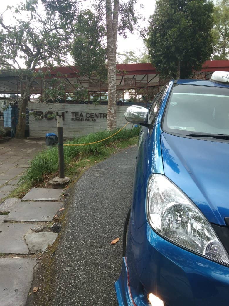 BOH Tea Factory Tour