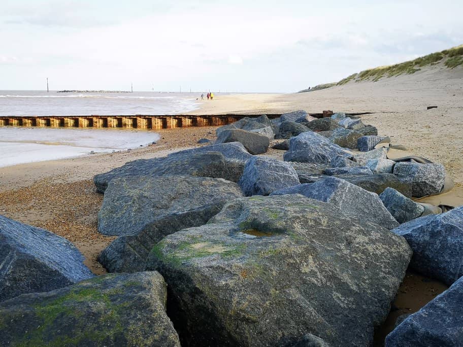 Seal Spotting Opportunities