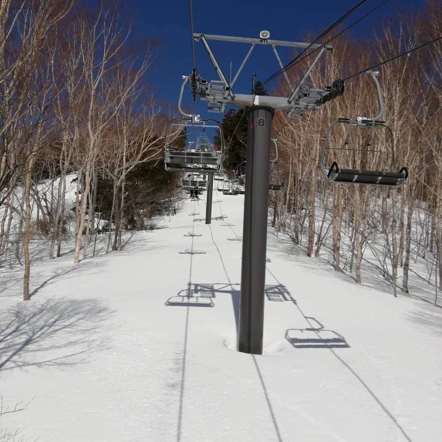 Powder Snow Experience