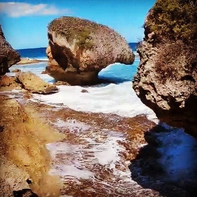 Secluded Sandy Shoreline