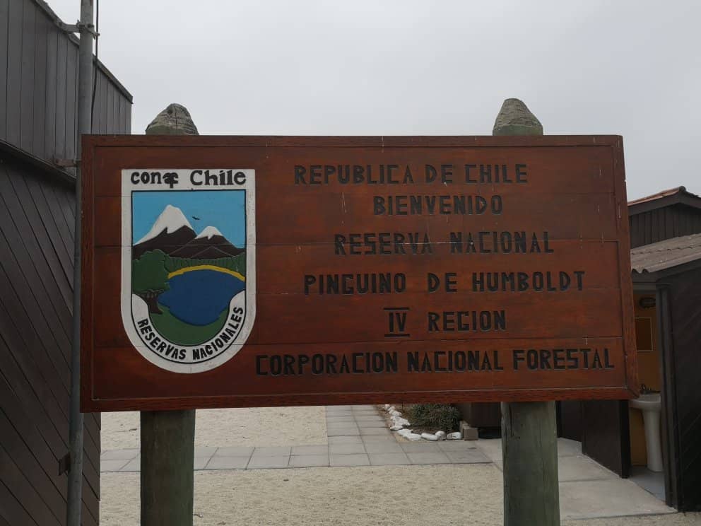 Abundant Marine Life