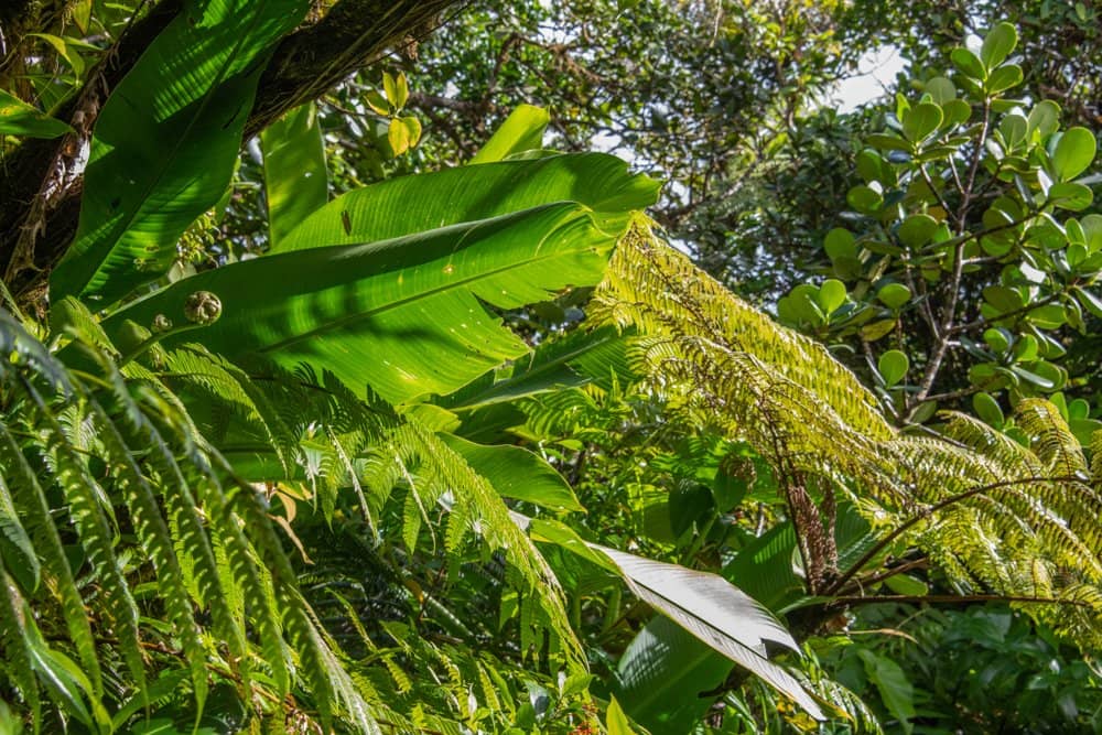 Post-Hike Hot Springs