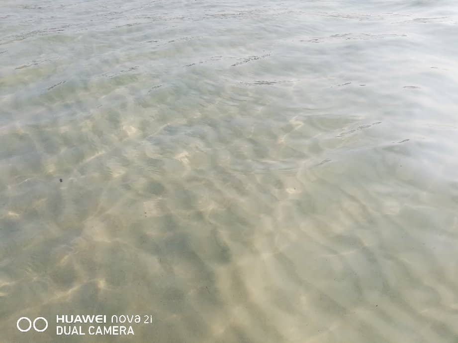 Pristine Sandy Shore