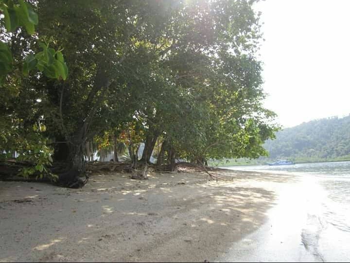 Vibrant Underwater World