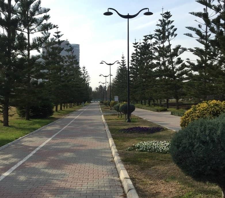 Themed Gardens & Ponds