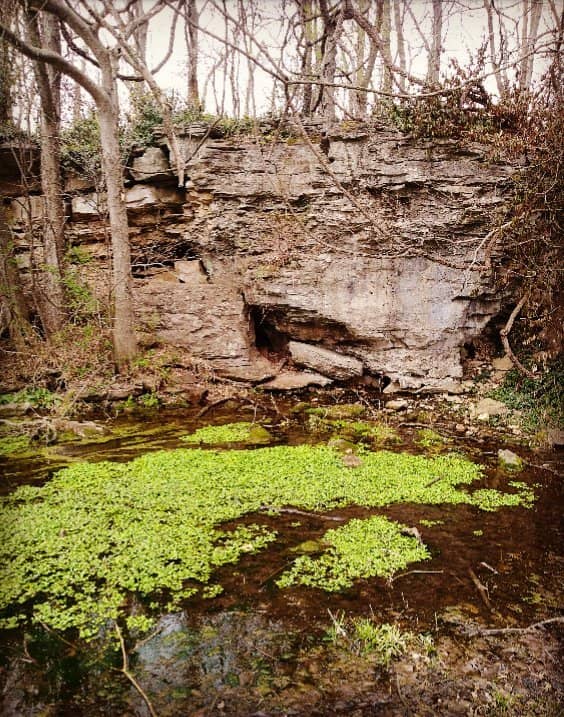 Scenic Walking Trail