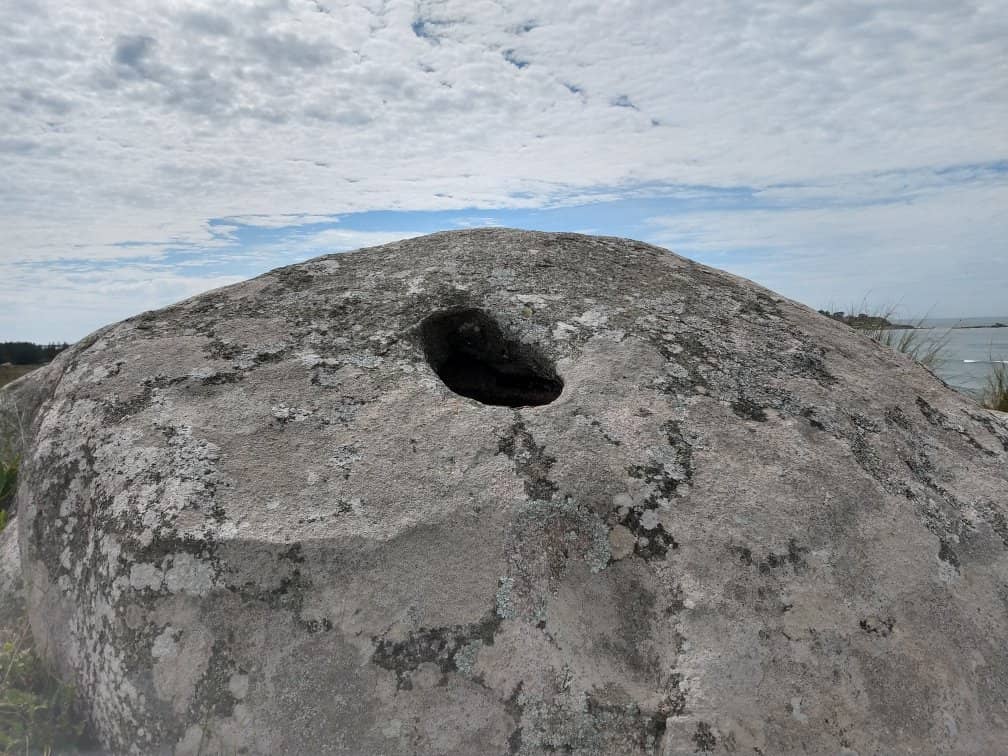 Gastronomic Delights