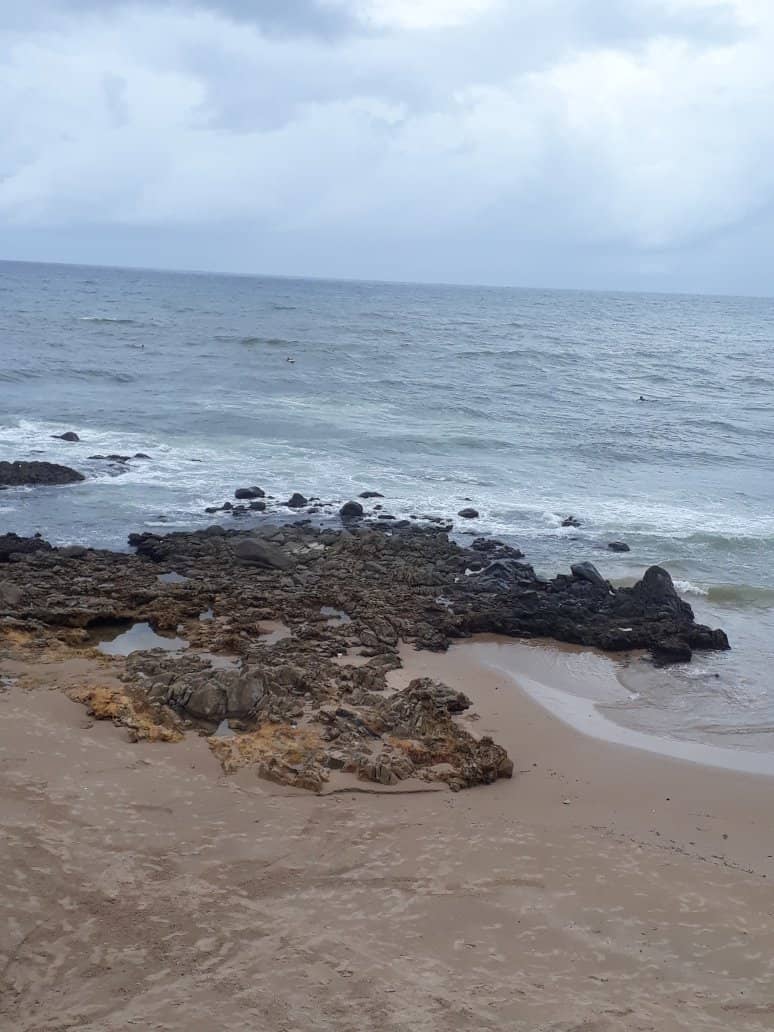 Tide Pool Exploration