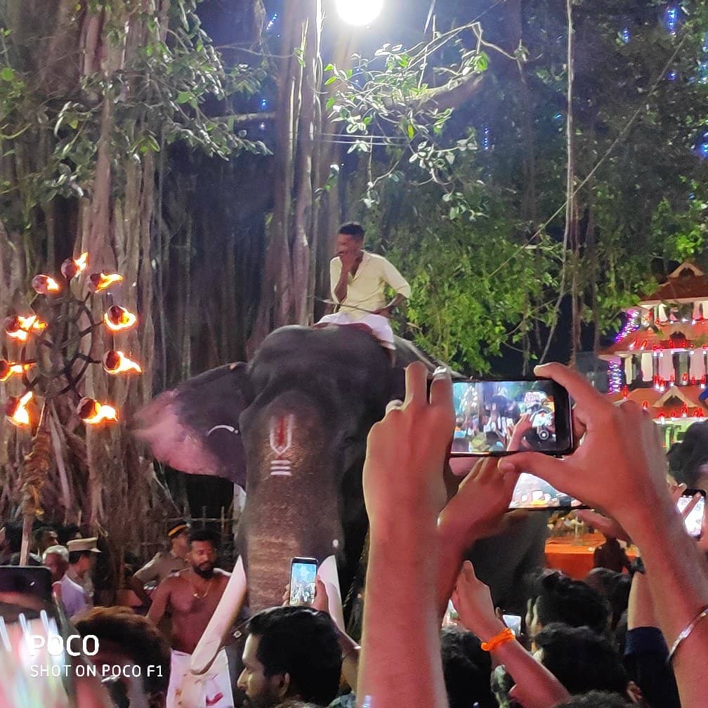 Annual Festival (Pooram)