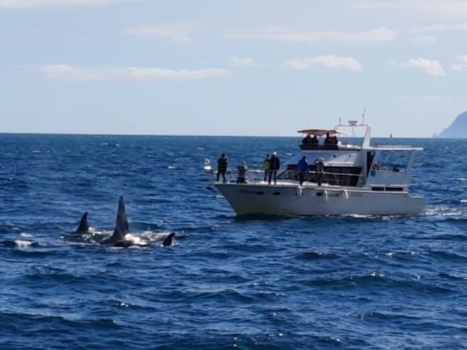 Kamchatka Fishing Experience