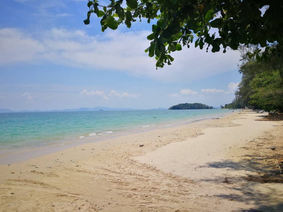 Local Street Food Delights