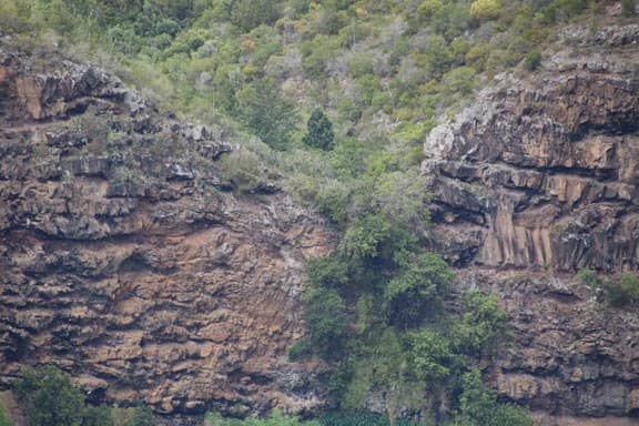 The Heart-Shaped Cascade