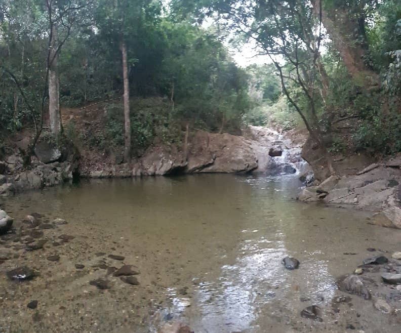 Natural Swimming Pools