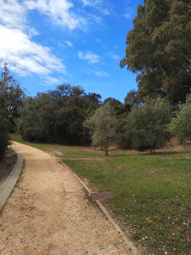 Scenic Walking Trails